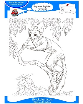 Çocuklar İçin Lemur Boyama Sayfaları 